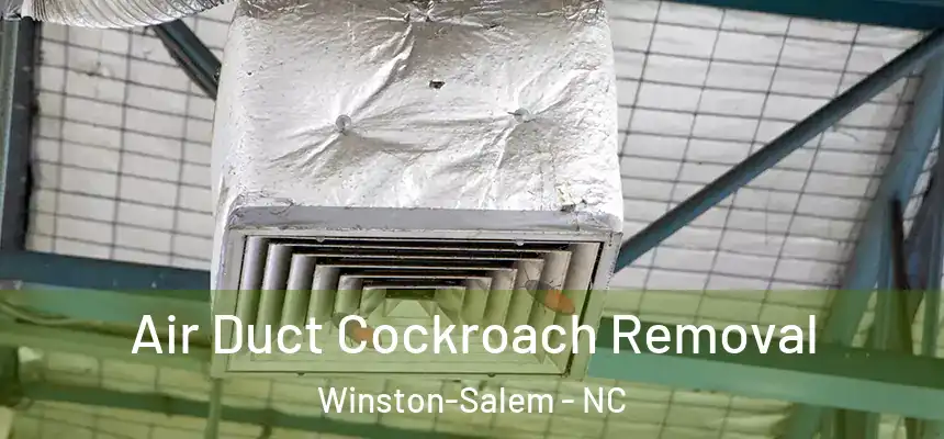 Air Duct Cockroach Removal Winston-Salem - NC