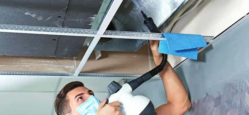 Our Air Duct Rodent Removal Services in Winston-Salem, NC
