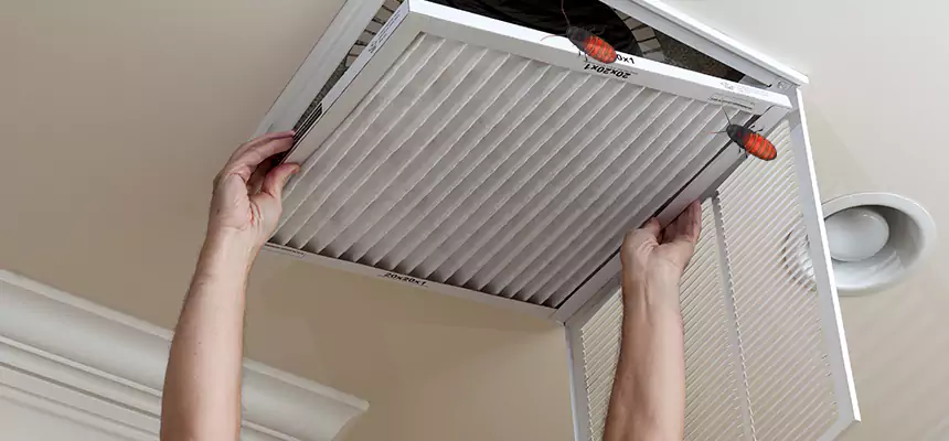 Our Insect Removal from Air Ducts Services in Winston-Salem, NC