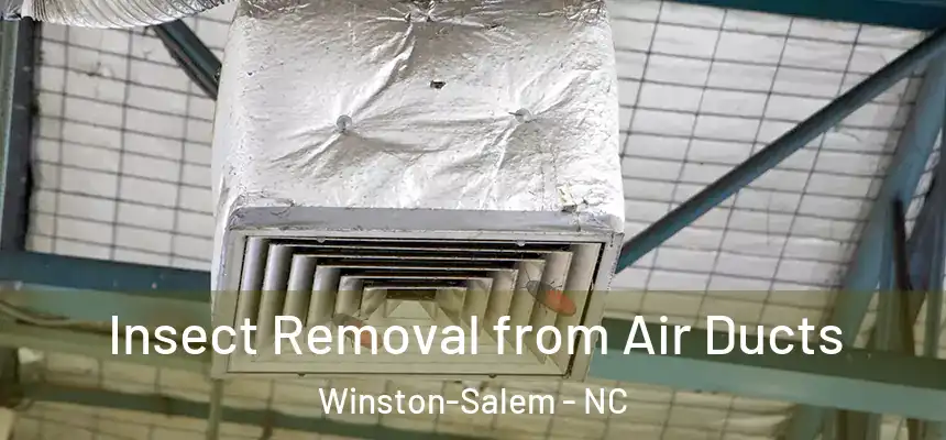 Insect Removal from Air Ducts Winston-Salem - NC