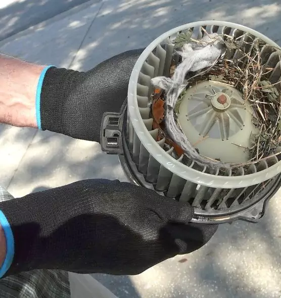 About Air Duct Mice Removal in Winston-Salem, NC