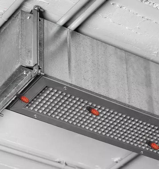 Affordable Insect Removal from Air Ducts in Winston-Salem, NC