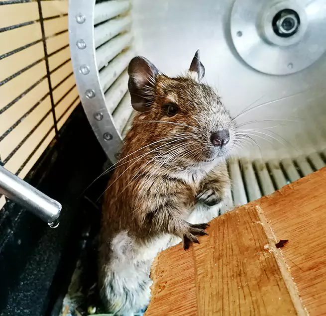 Why Homeowners & Businesses Trust Us Winston-Salem, NC?